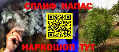 гидра Рязань
