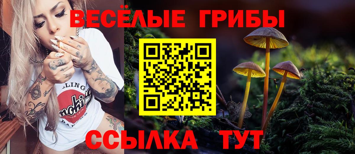 Псилоцибиновые грибы прущие грибы Пушкино