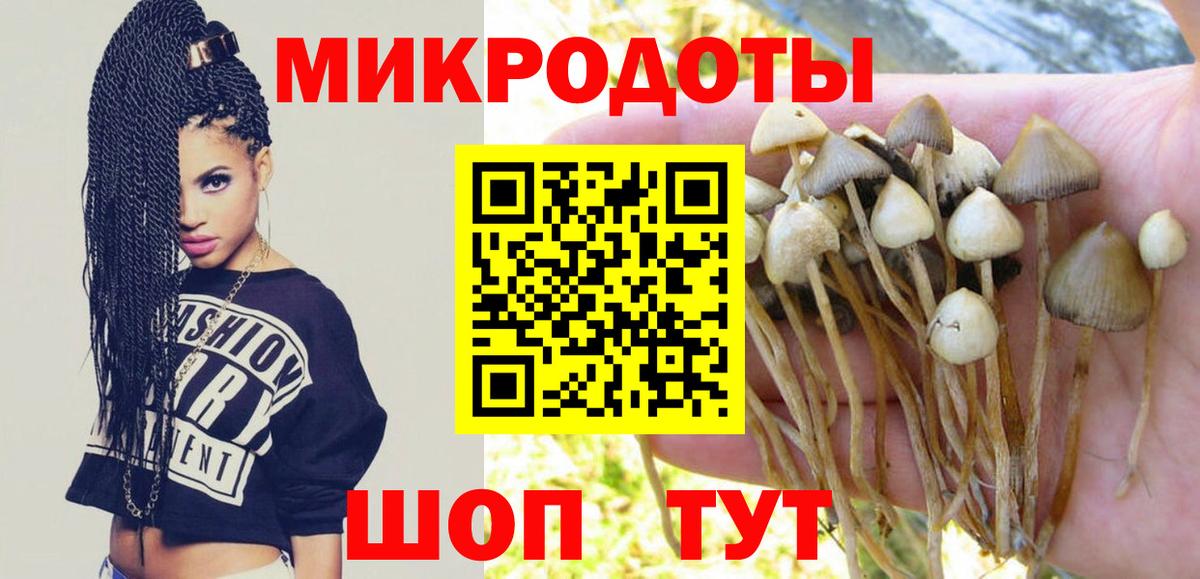 Галлюциногенные грибы Psilocybine cubensis  Псилоцибиновые грибы ЛСД  Пушкино  Вход с VPN 