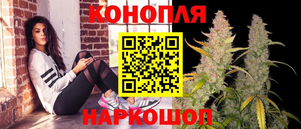 Пушкино  МАРИХУАНА планчик  МАРИХУАНА Ganja  Шишки марихуана семена  Вход с VPN 